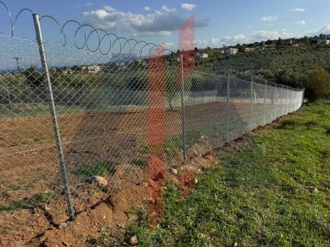 Περίφραξη οικοπέδου με συρματόπλεγμα και κονσερτίνα στην Αυλίδα